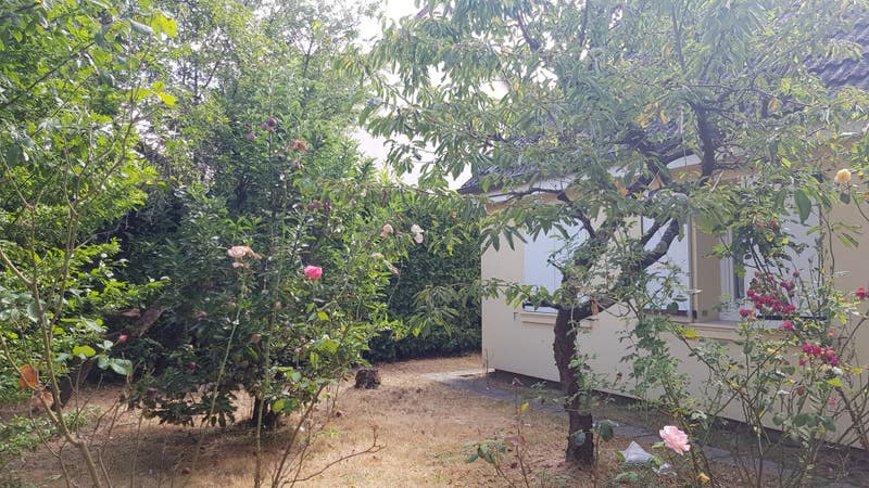 Coloc Viry Châtillon limite Morsang s/ Orge Photo principale