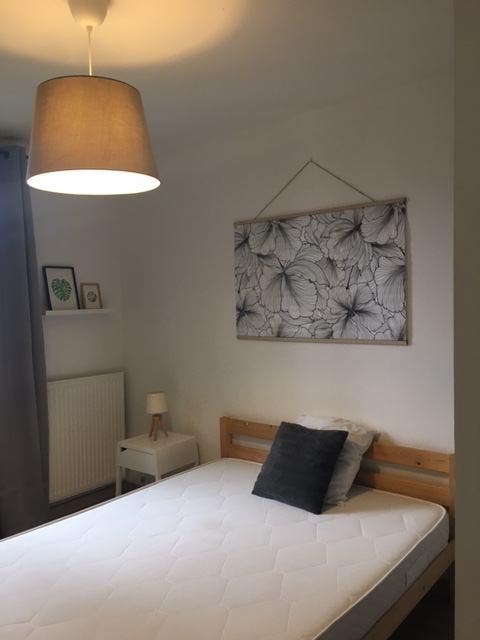 Chambre disponible / coloc mixte Photo principale