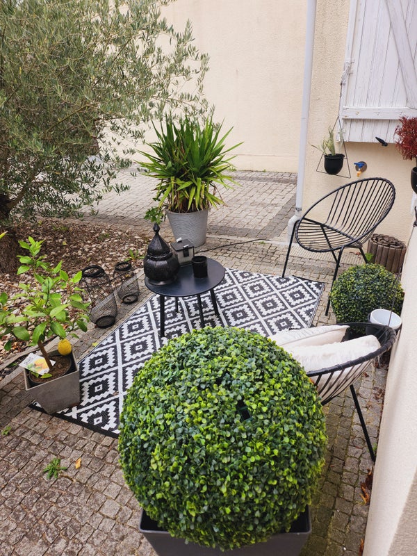 Photo 1: 1ere terrasse