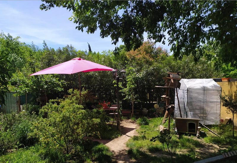 Photo 1: Jardin commun