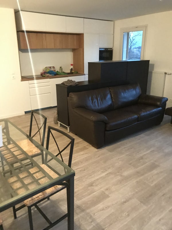 Photo 1: Double salon avec cuisine américaine