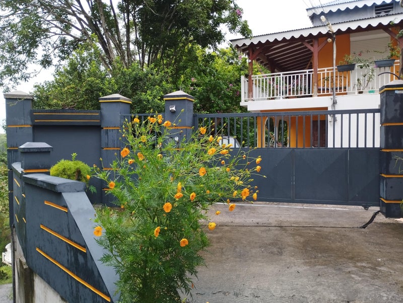 Photo 1: Colocation  en Guadeloupe 
