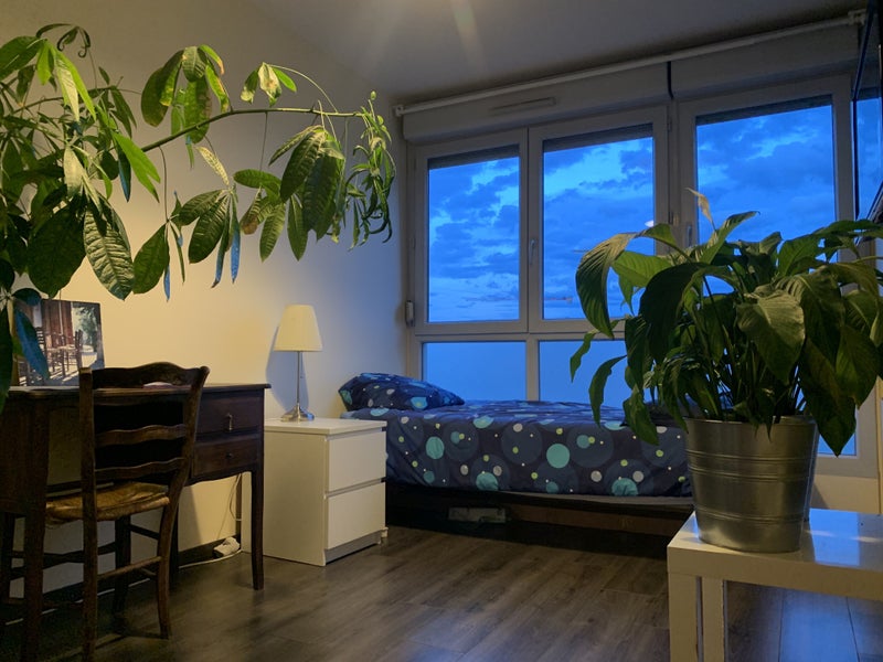 Photo 1: CHAMBRE AVEC SALLE DE BAIN PRIVATIVE LYON 7