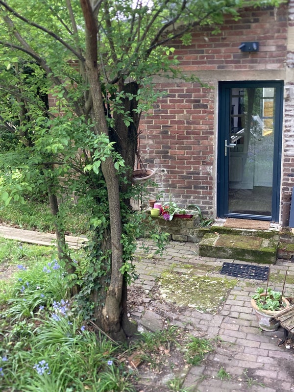 Photo 1: Entrée par le jardin