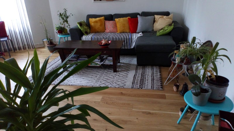 Photo 1: pièce principale-salon et salle à manger