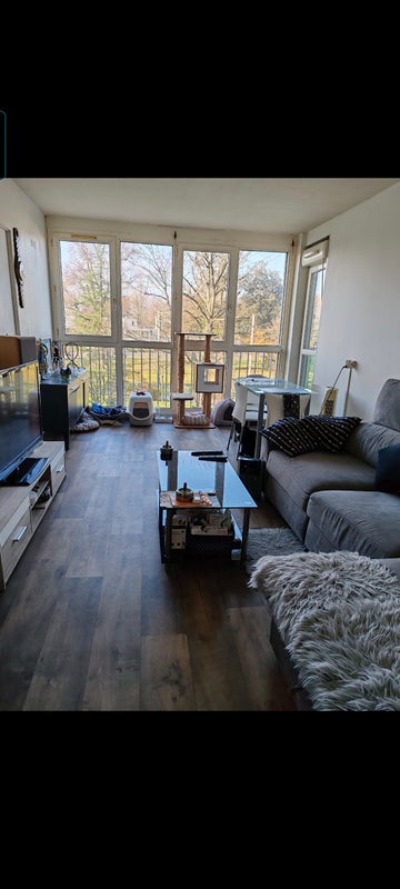 Photo 1: Living room