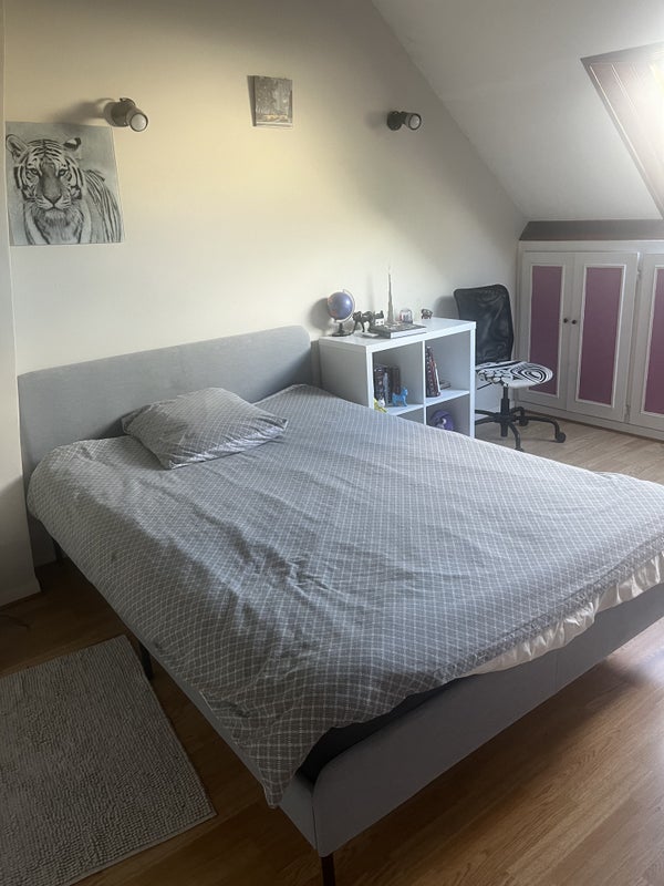Photo 1: Chambre à louer 