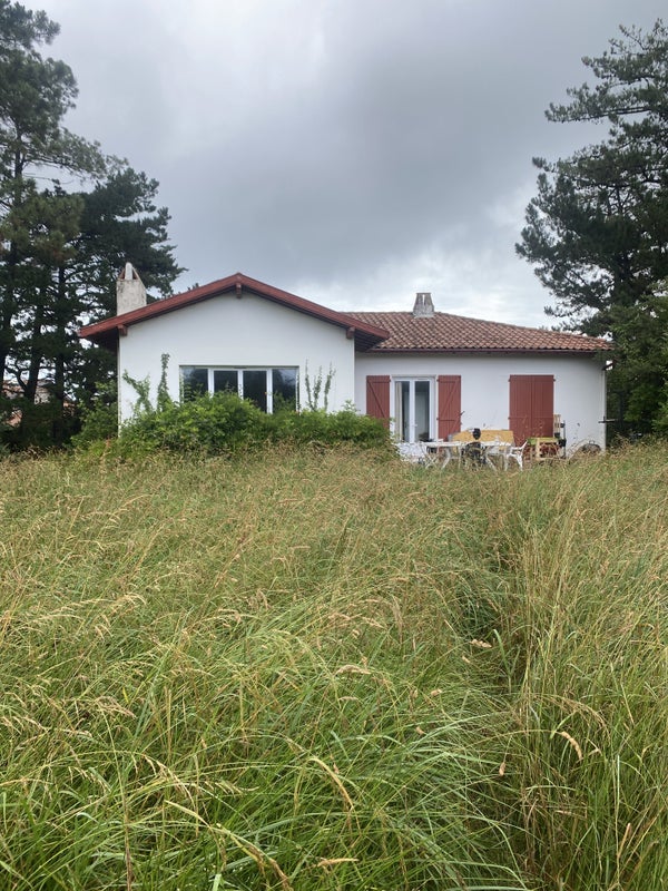 Photo 1: jardin