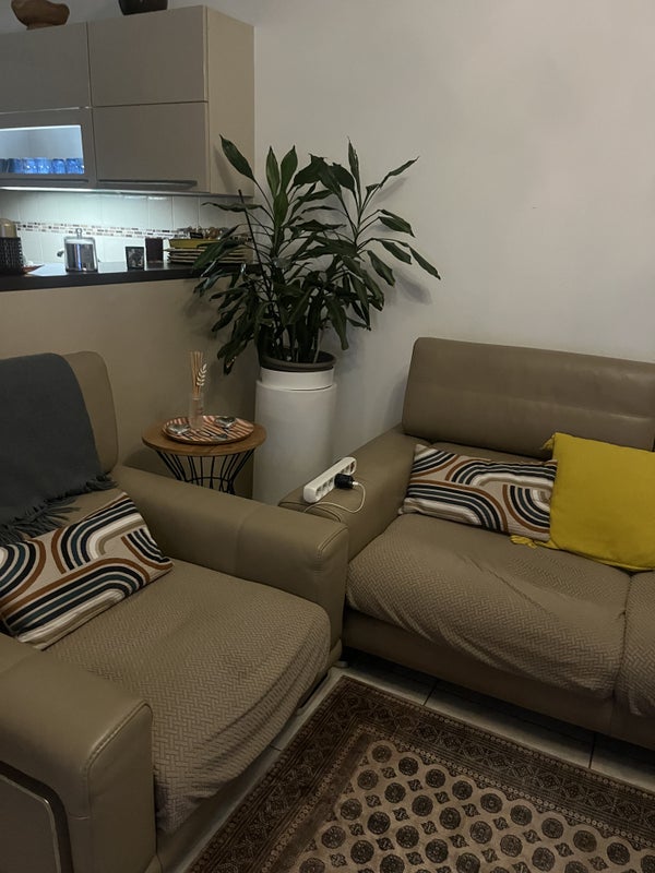 Photo 1: Salon 