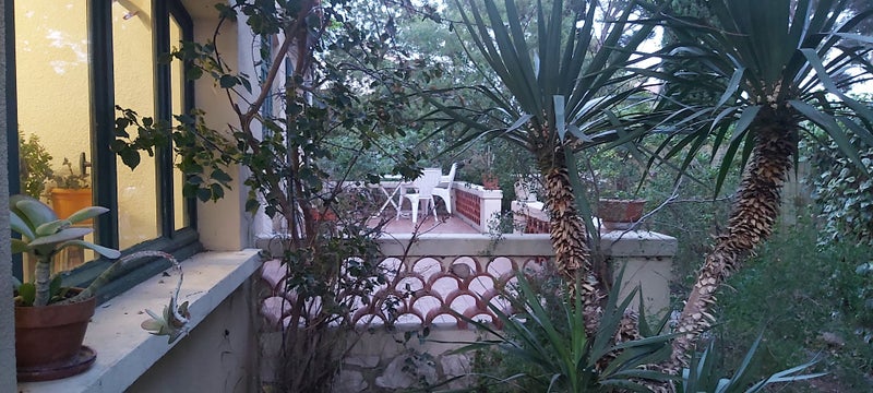 Photo 1: Terrasse et dépendance
