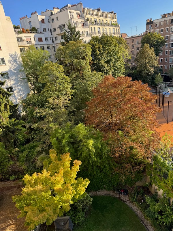 Photo 1: Vue de la chambre sans vis-à-vis