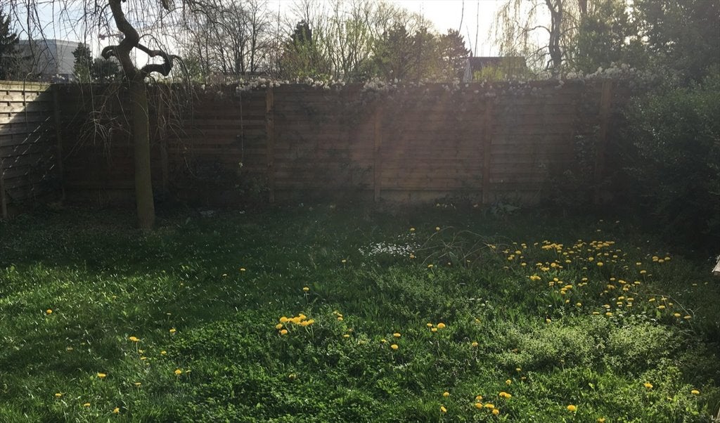 Colocation Vitry sur Seine Photo principale