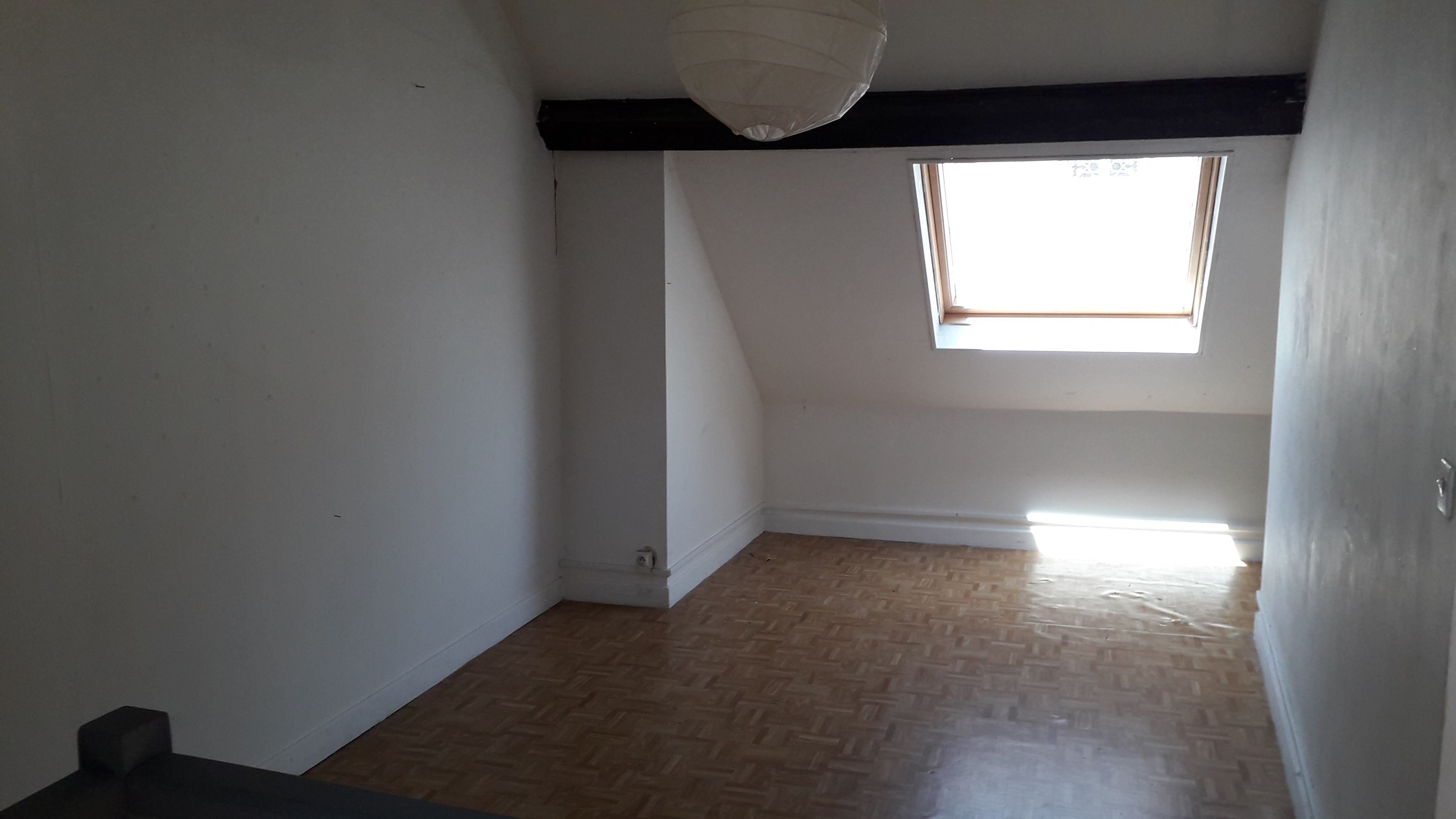 Grande et jolie chambre dans joyeux appartement Photo principale