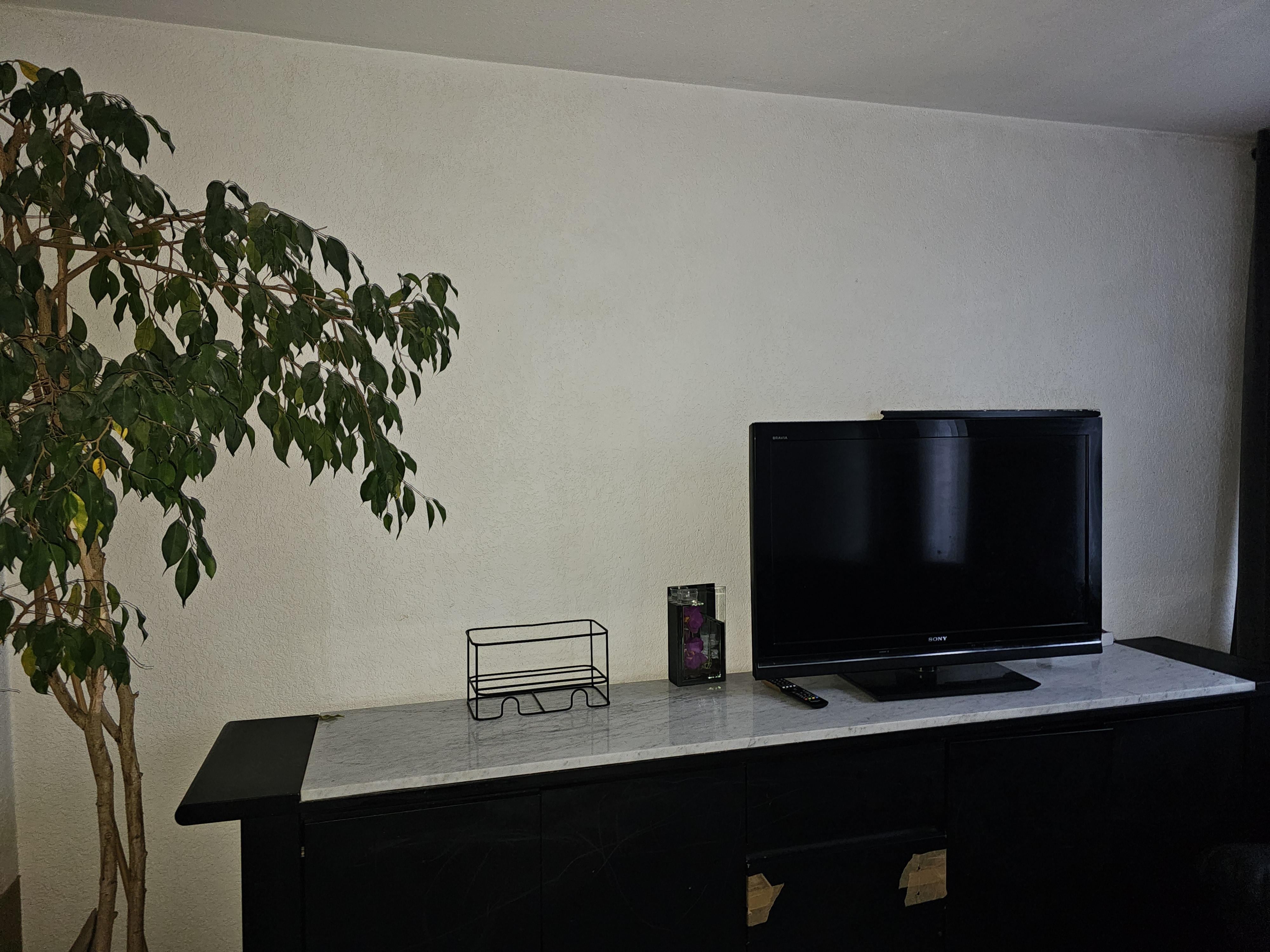 Chambre en Colocation pour étudiant  Photo principale