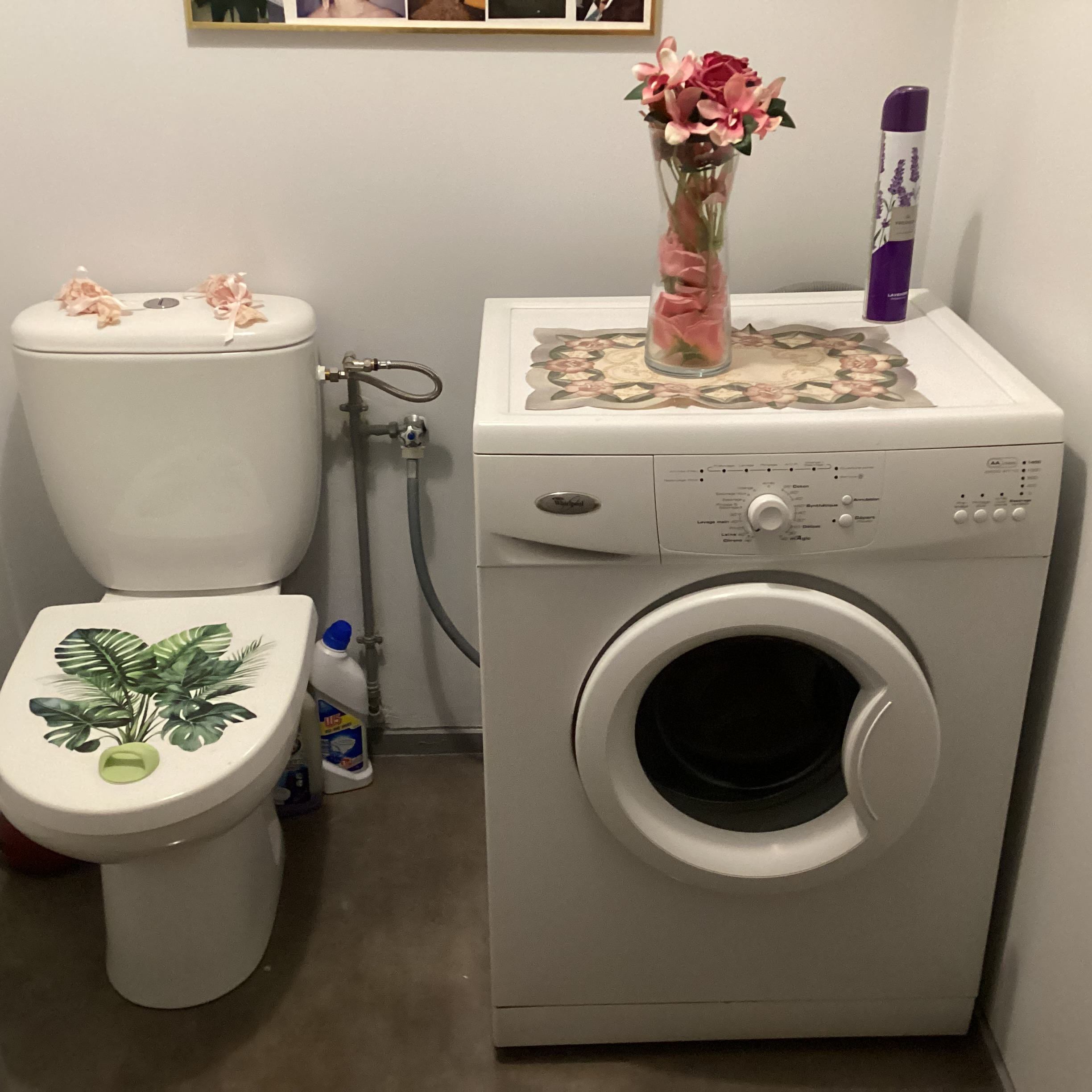 Colocation Uniquement Etudiante (Fille) Photo principale