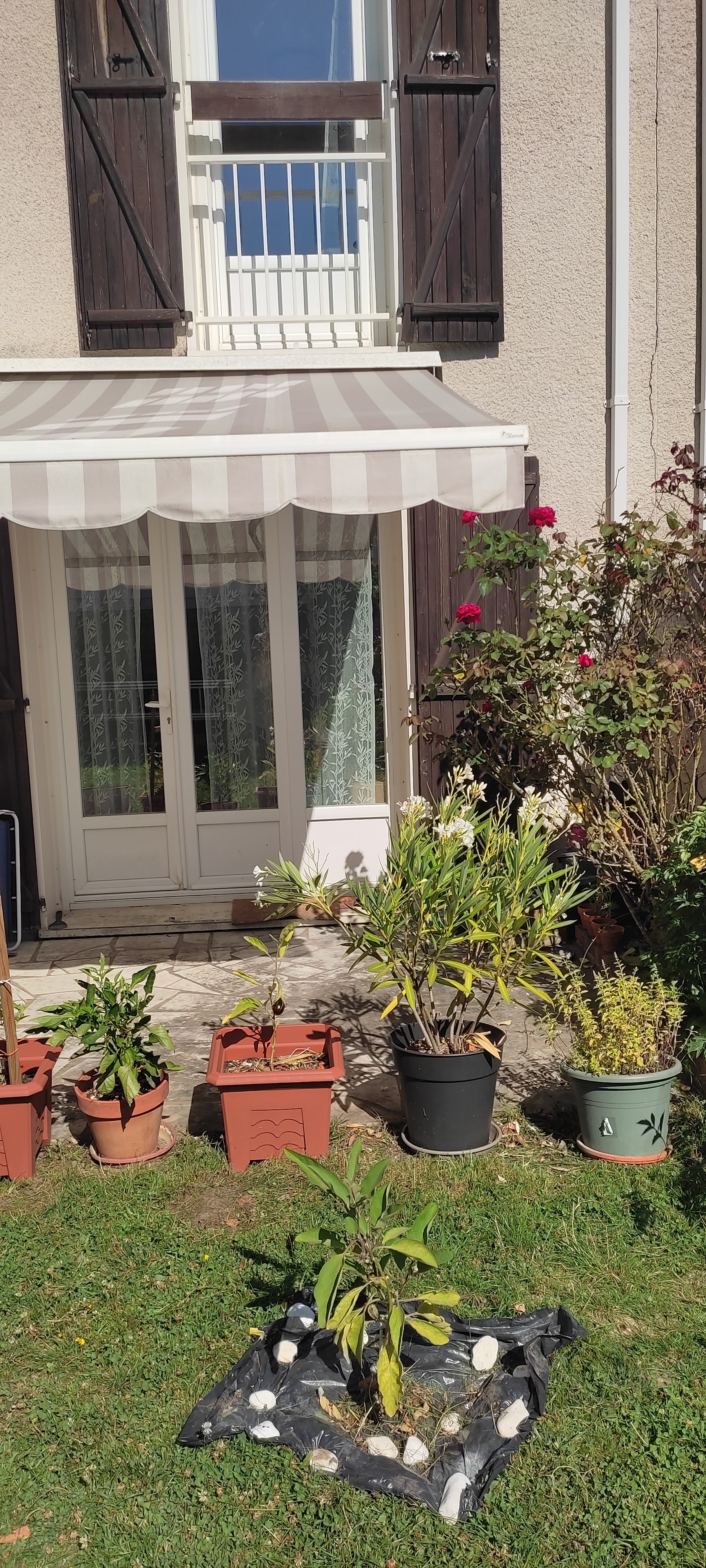 Les Courtilleraies (77350 Le Mée-sur-Seine)