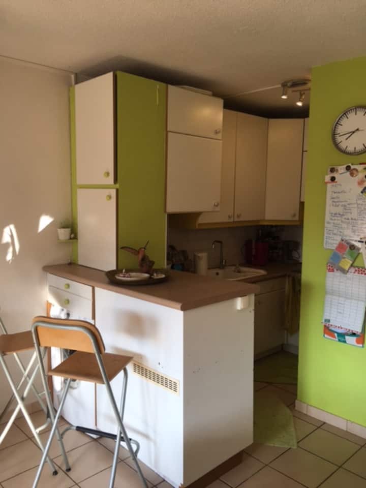 Une chambre duplex T3 avec balcon a Tournefeuille  Photo principale