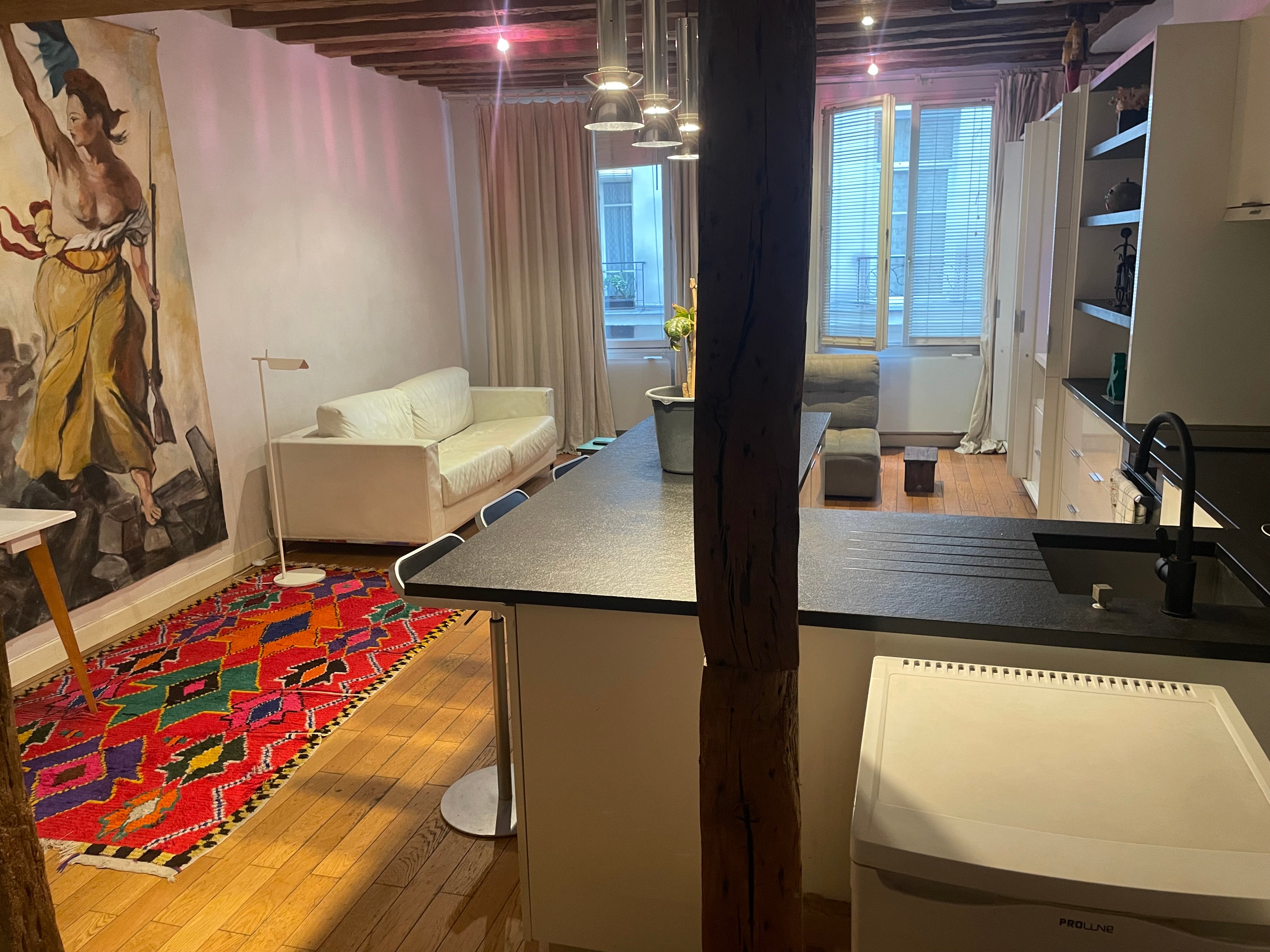 Sous location appartement ARTS ET MÉTIERS Paris 3 Photo principale