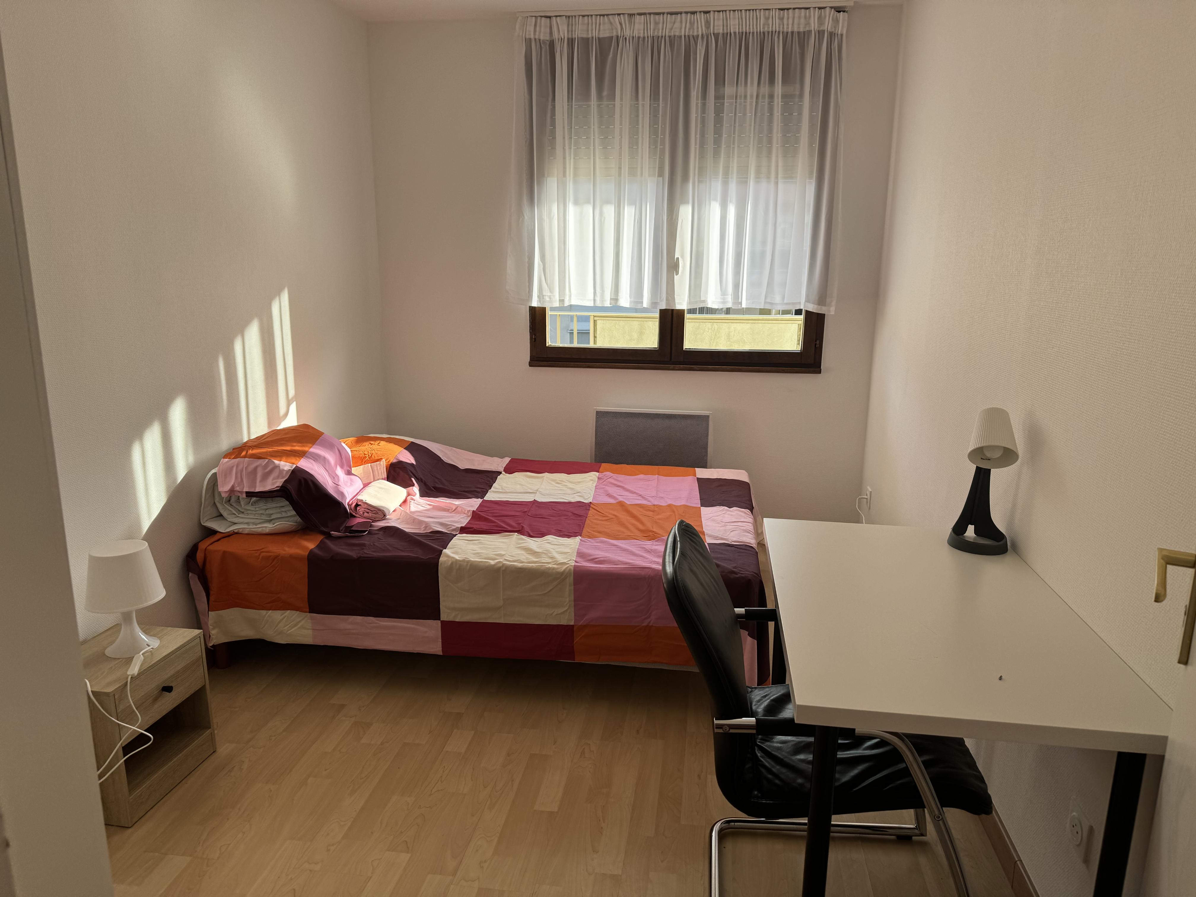 Chambre à louer dans joli appartement  Photo principale