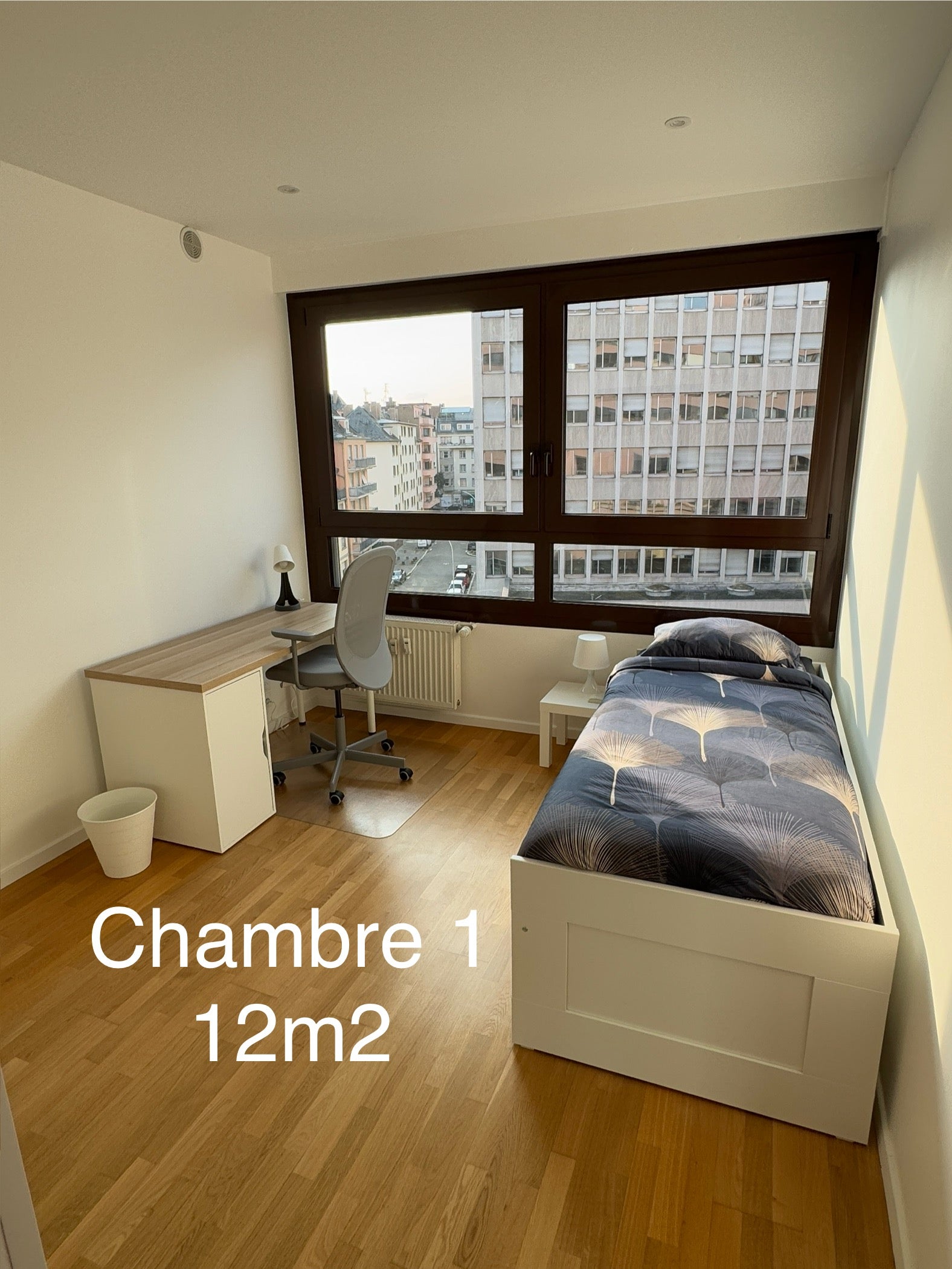 Colocation 4 chambres – Krutenau / Esplanade Photo principale