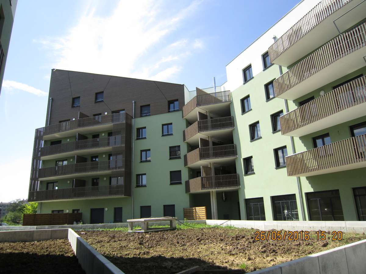 Colocation à projets solidaires Kaps - Meinau Photo principale