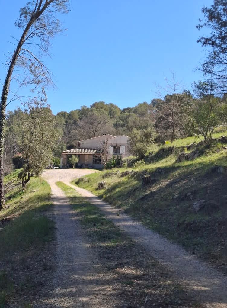 Maison en forêt calme absolu  Photo principale