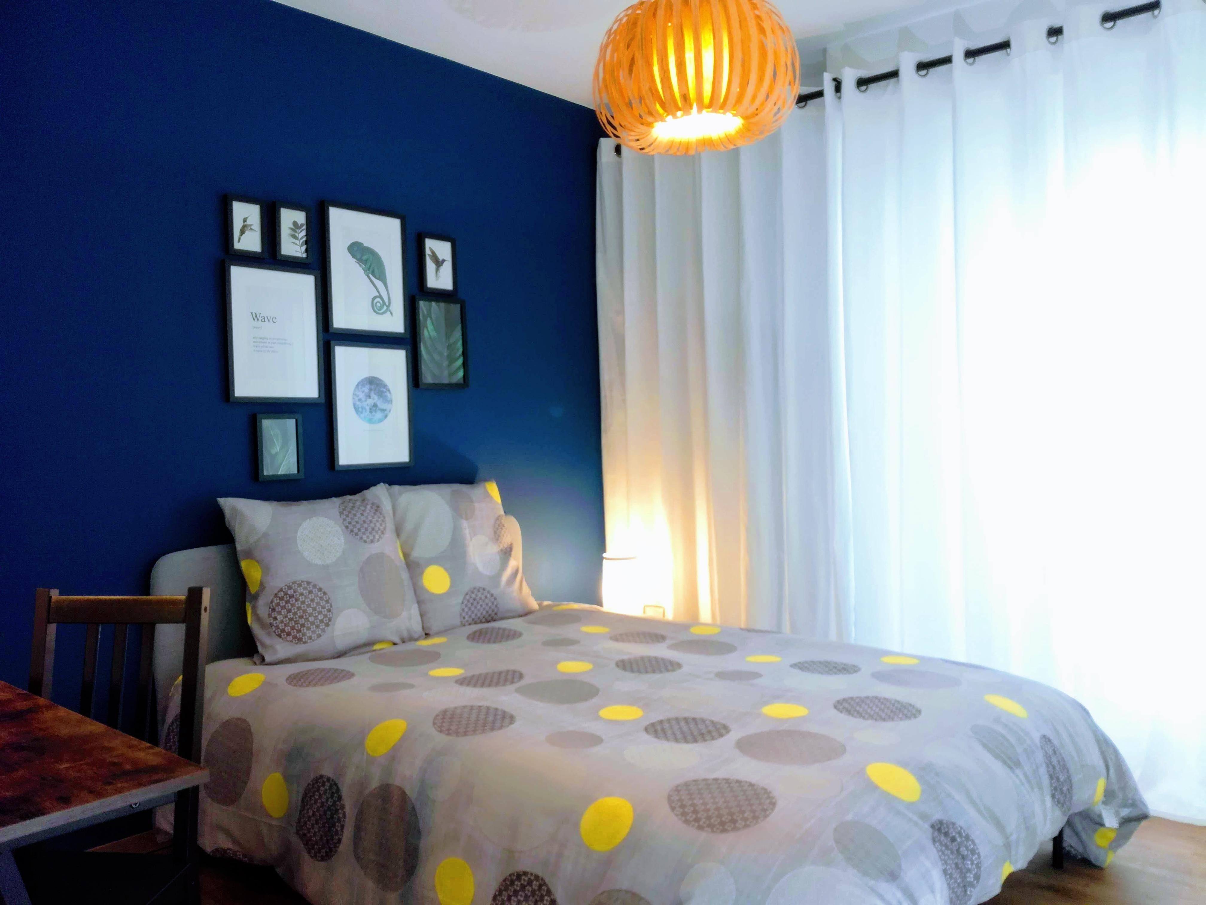 Colocation proche hopital pasteur Photo principale