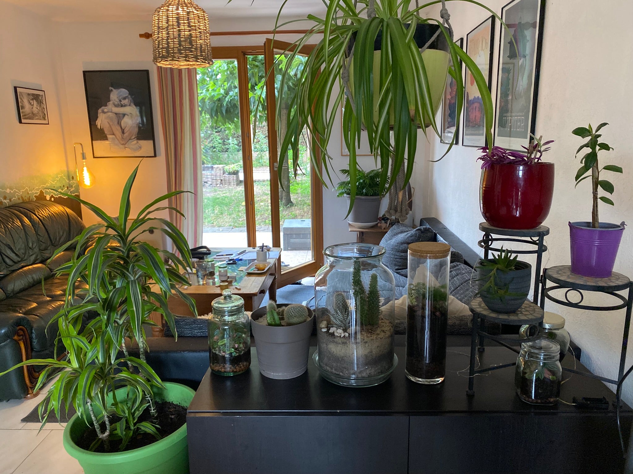 Collocation maison jardin toulouse>.  Photo principale