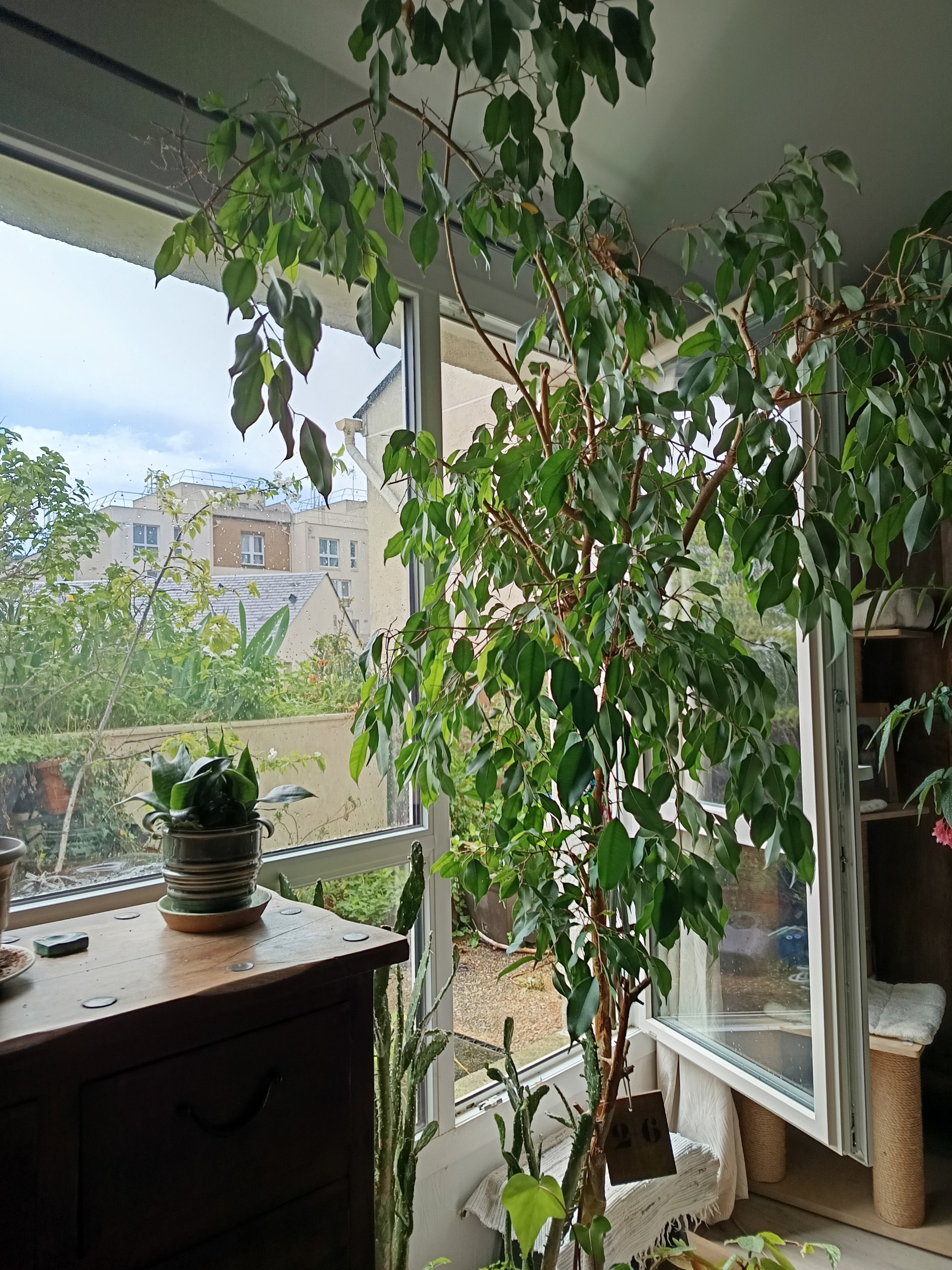 Chambre dans un appartement  Photo principale