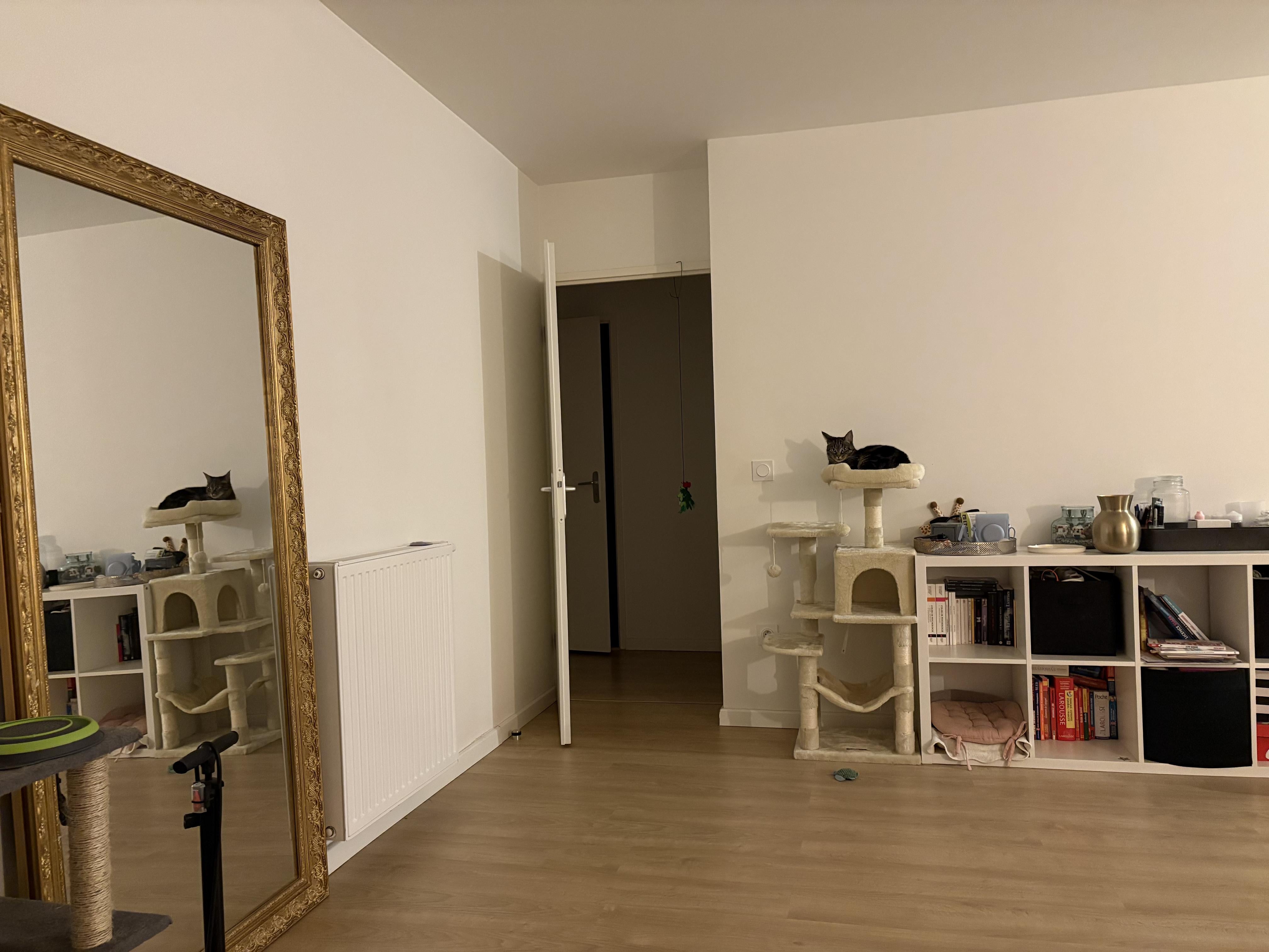 Cherche colocataire sympa  Photo principale