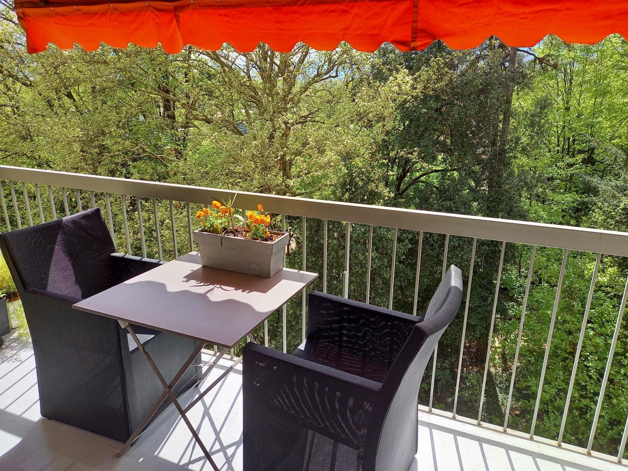 Proche hôpital Michalon et campus Photo principale