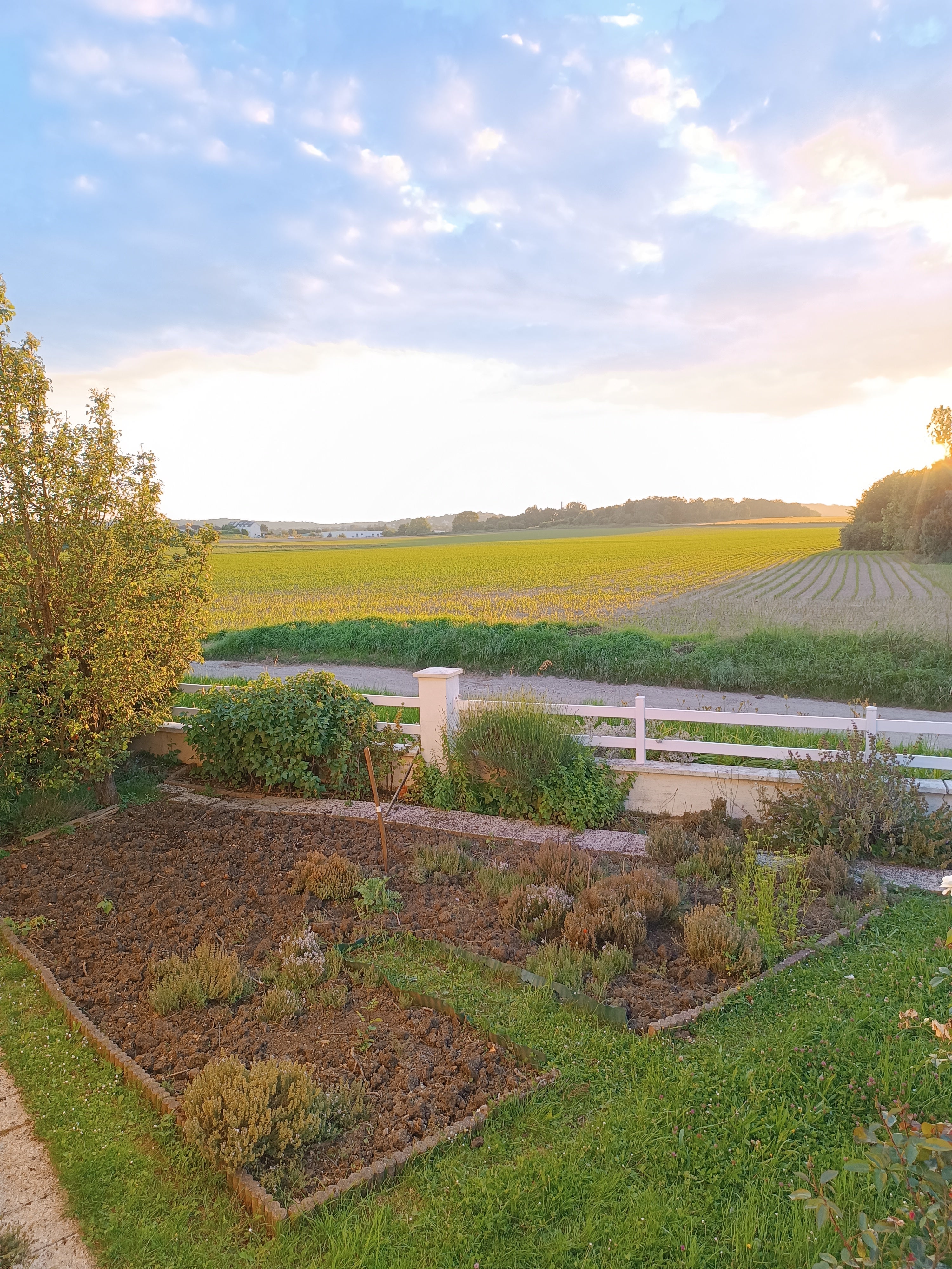 Chambre dans grande maison a 30min de Paris Photo principale