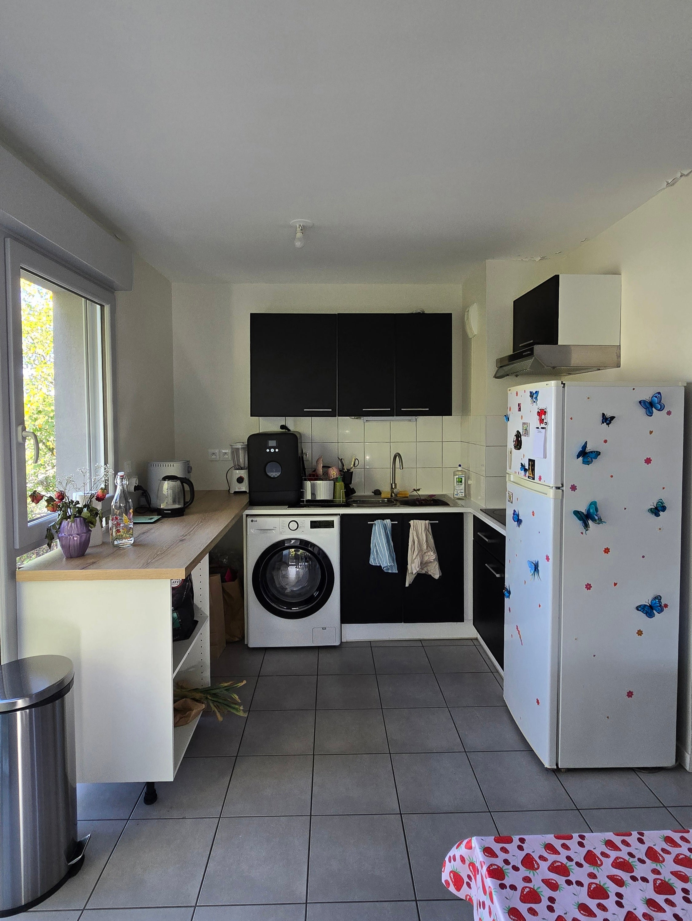 Colocation Nantes Photo principale