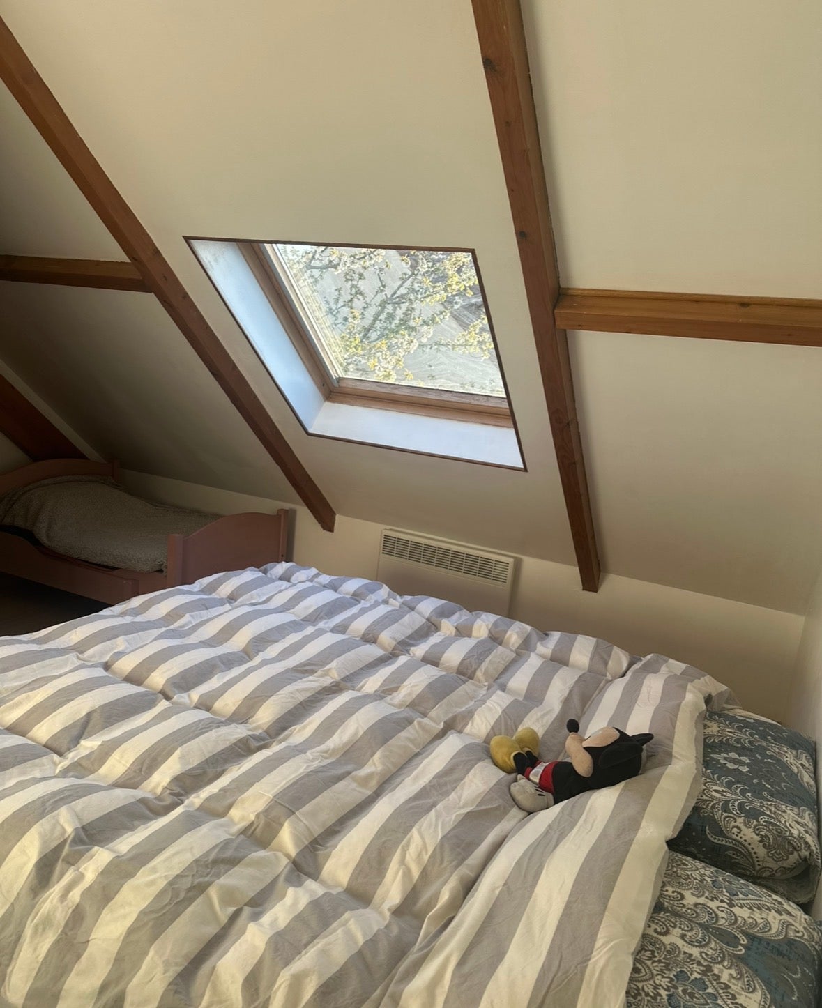 Location, chambre dans une maison pavillonnaire Photo principale