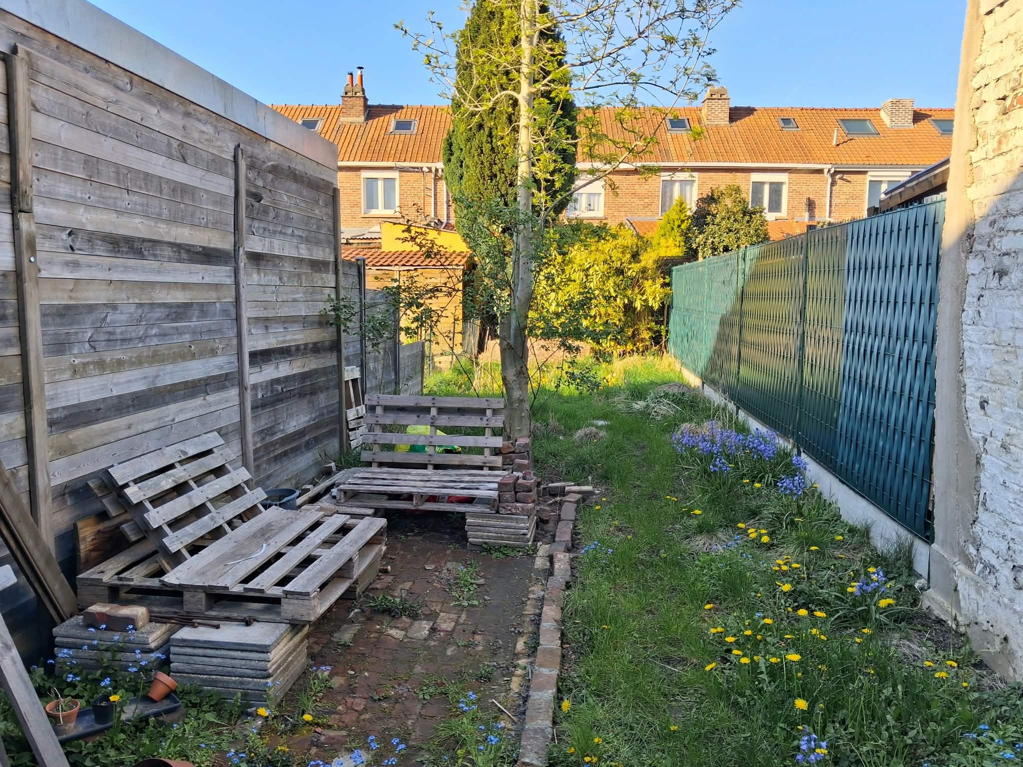 Colocation sympa, maison avec jardin à Lille  Photo principale