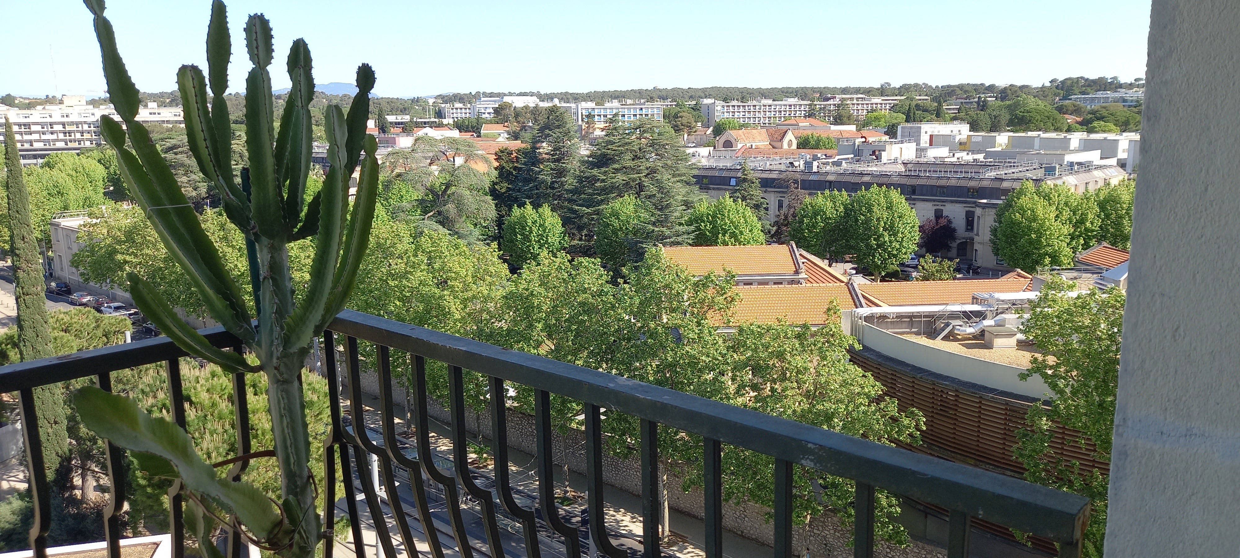 Colocation Internationale Professionnels Etudiants Photo principale