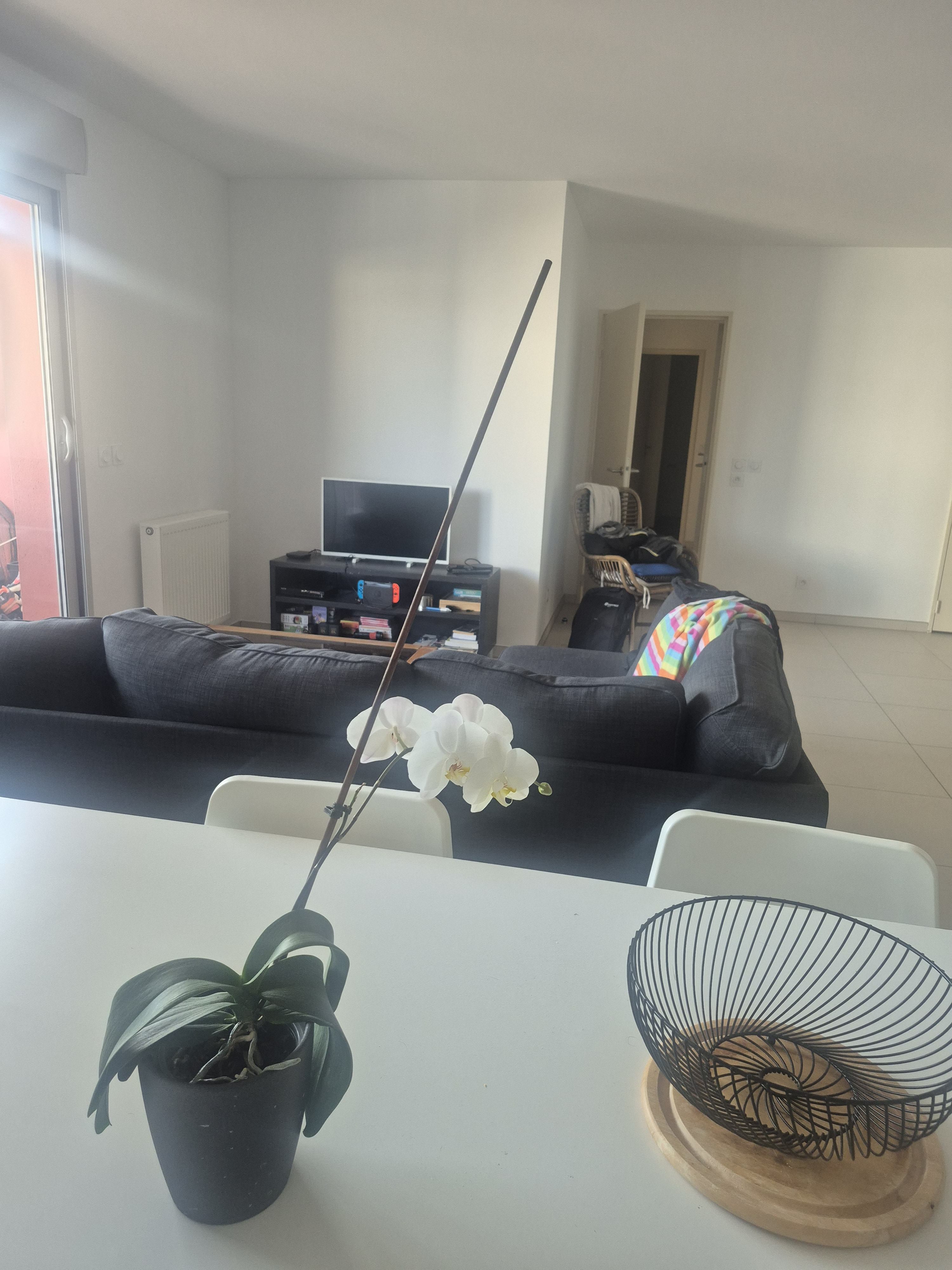 Loue chambre dans appartement de 80m2 Photo principale
