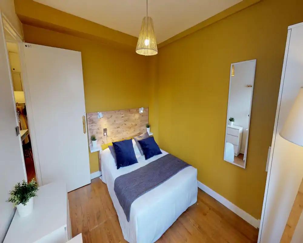Room in Toulouse - Rue Francisque Sarcey Photo principale