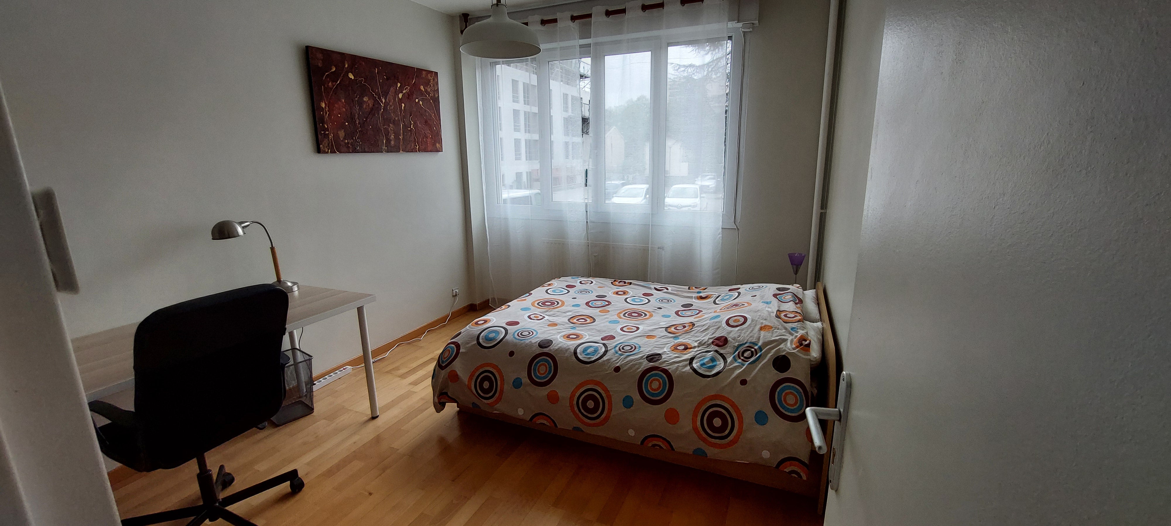 Colocation Lyon 7 T4 Secteur Jean Jaures  Photo principale