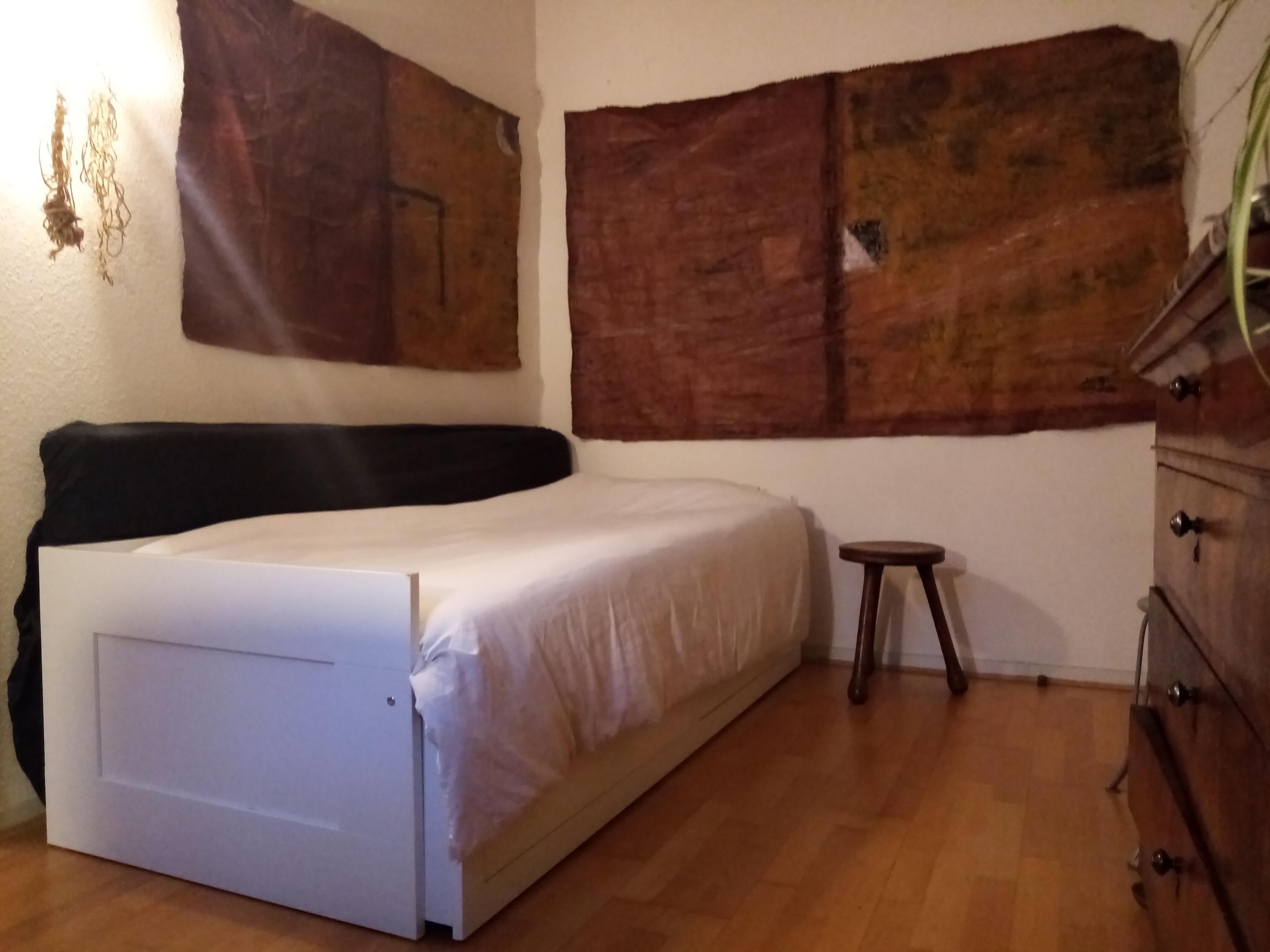 Chambre à louer à Besançon (centre ville) Photo principale