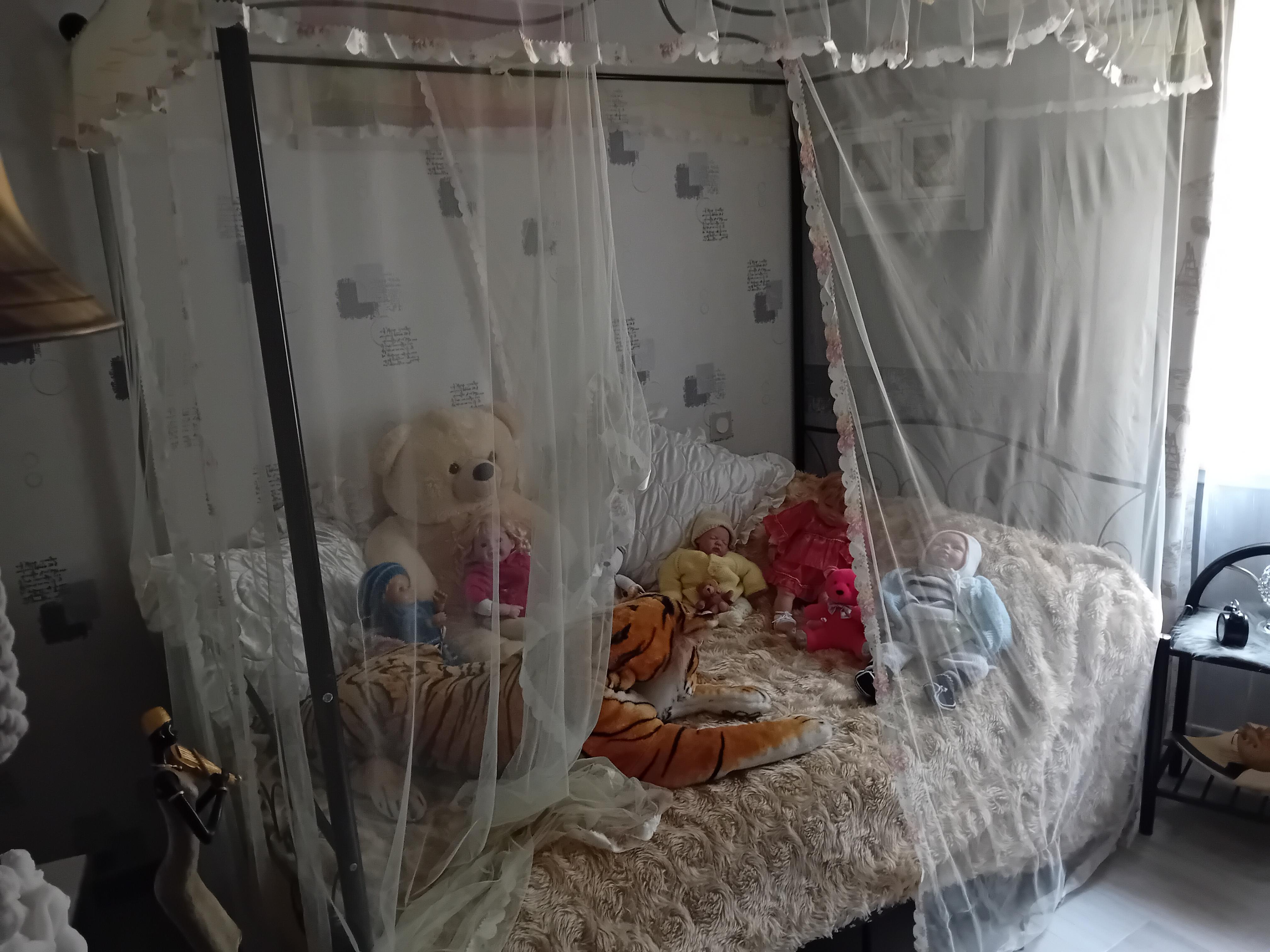 Colocation chez l habitant  Photo principale