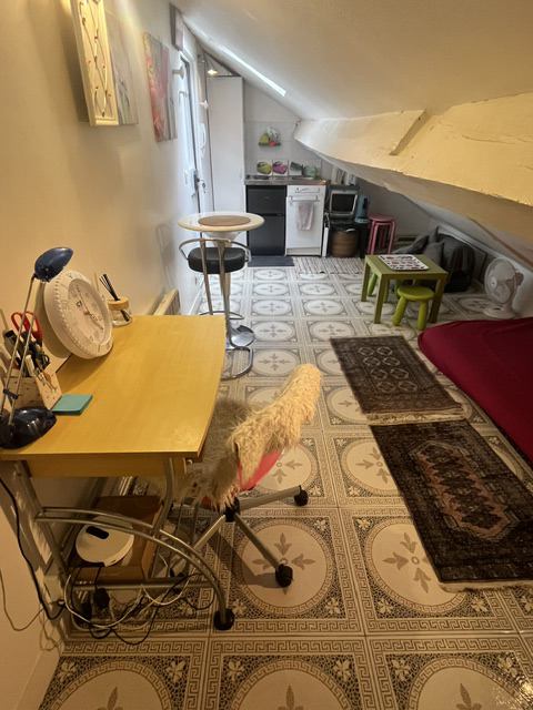Studio meublé  5ème arr.  / Mansarda ammobiliata Photo principale