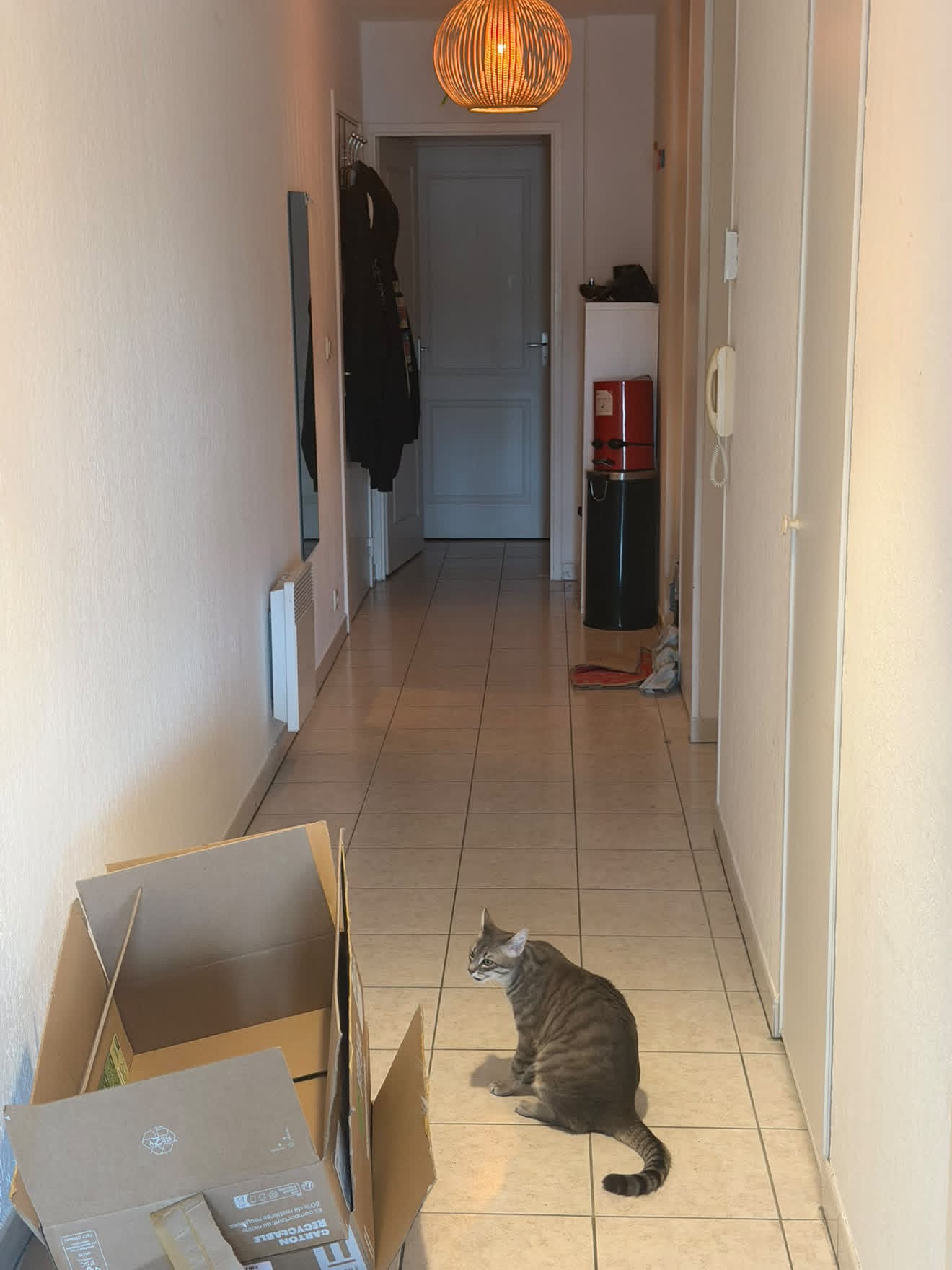 Colocation De 3 Toulouse 1 Chambres Disponibles  Photo principale