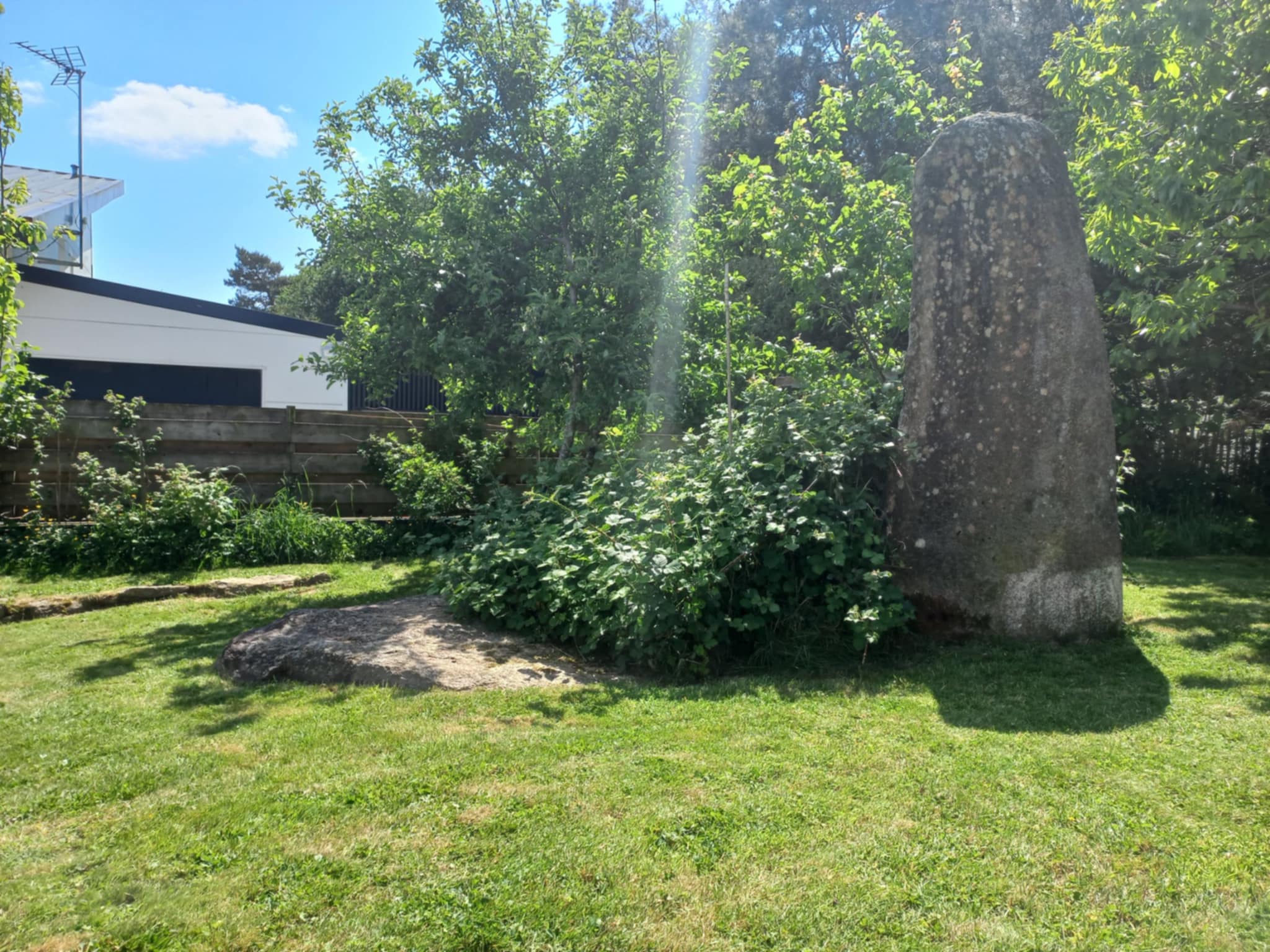Collocation à l'orée des bois Photo principale